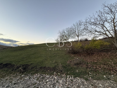 Teren Intravilan cu panorama în Borhanci Str Colonia Sopor 1000mp+85mp cota drum