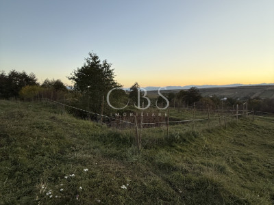 Teren extravilan de vanzare in Salicea 916mp+84mp drum necesită PUZ