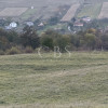 Teren extravilan de vanzare in Salicea 916mp+84mp drum necesită PUZ imaginea mica 10 Teren extravilan de vanzare in Salicea 916mp+84mp drum necesită PUZ thumb 10