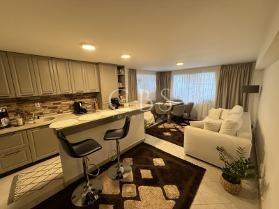 Apartament la Demisol ultrafinisat 2 camere 65mp zona Iulius Mall cu 2 parcări 