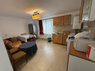 Exclusivitate !! Casa de închiriat 2 camere 48 mp în Dezmir zona centrală 