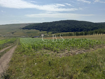 Exclusivitate! Com0%! Teren în Dezmir 5800mp Intravilan/Extravilan front 16,2ml 