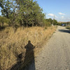 Exclusivitate ! Comision 0% !Teren intravilan în Câmpenești 2900mp imaginea mica 2 Exclusivitate ! Comision 0% !Teren intravilan în Câmpenești 2900mp thumb 2