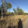 Exclusivitate ! Comision 0% !Teren intravilan în Câmpenești 2900mp imaginea mica 3 Exclusivitate ! Comision 0% !Teren intravilan în Câmpenești 2900mp thumb 3