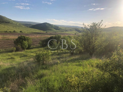 Teren de vanzare intravilan la intrare in Pata 800mp+200mp drum 