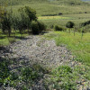 Teren de vanzare extravilan la intrare in Pata 800mp+200mp drum  thumb 4